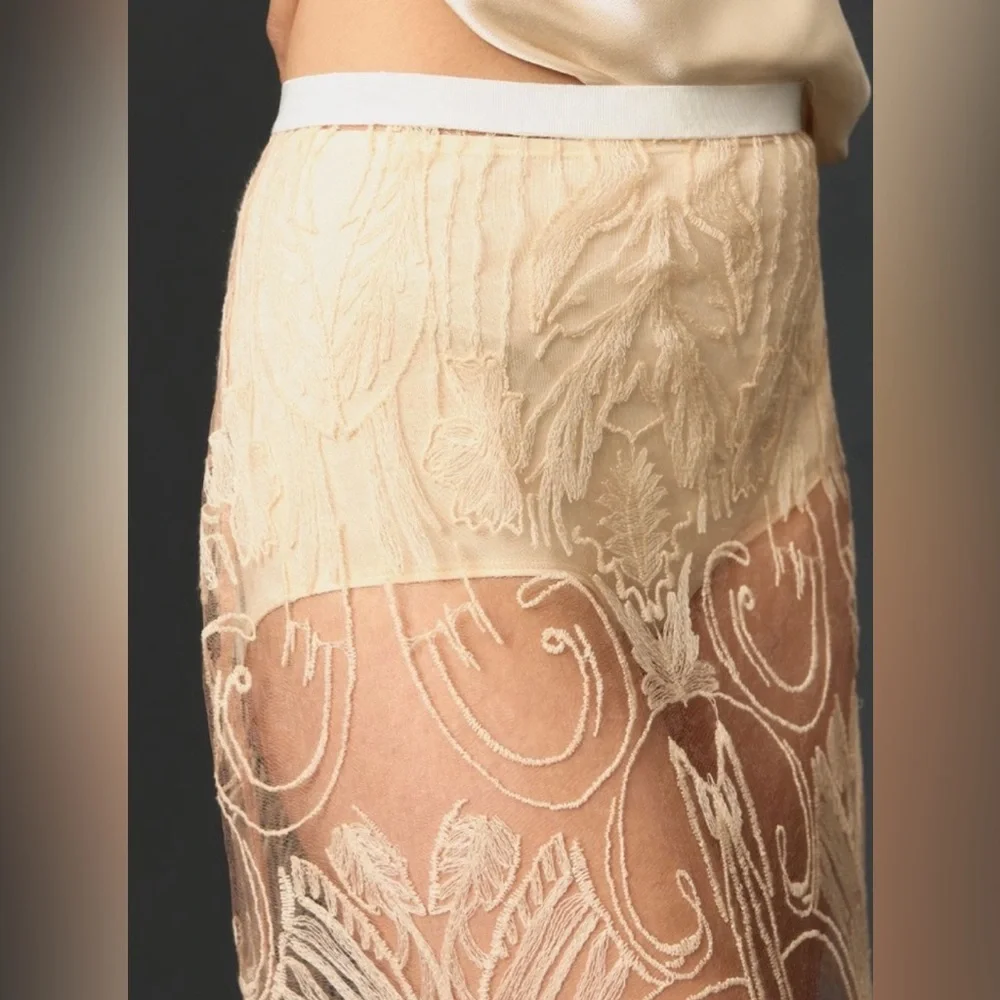 Anthropologie Sheer Embroidered Cream Midi Skirt - Picture 3 of 12